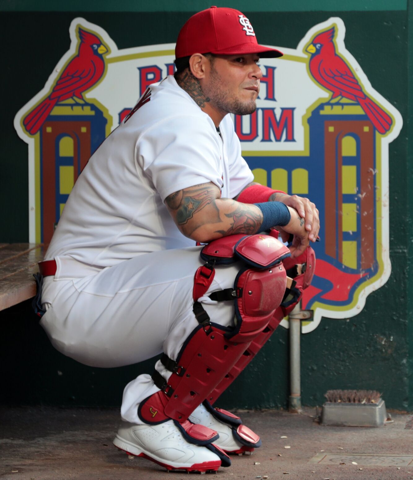 Cardinals, Orioles at Busch